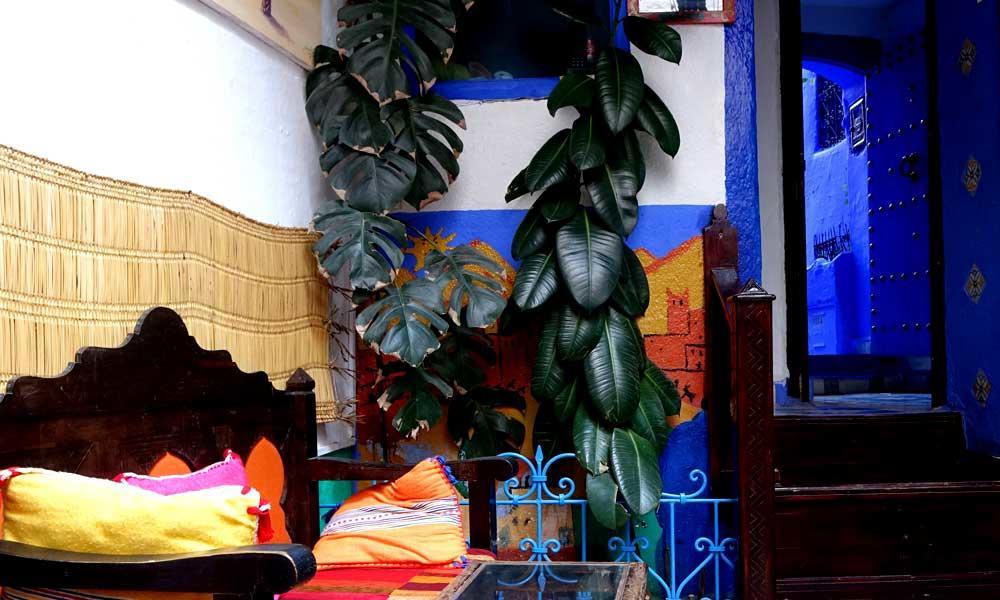 Dar Antonio Hotell Chefchaouen Eksteriør bilde